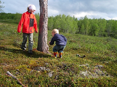 Abisko Juni 2009 dag 3 - 28.jpg